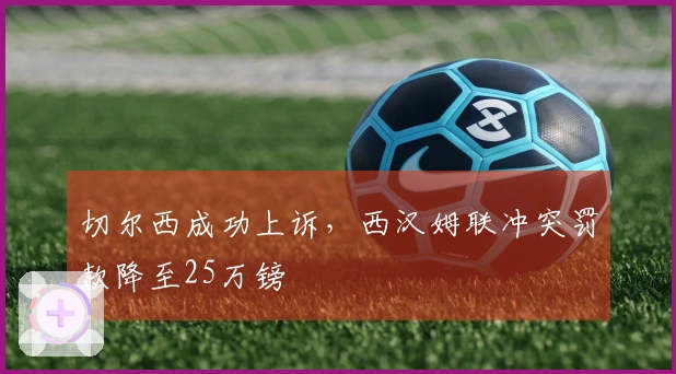 切尔西成功上诉，西汉姆联冲突罚款降至25万镑